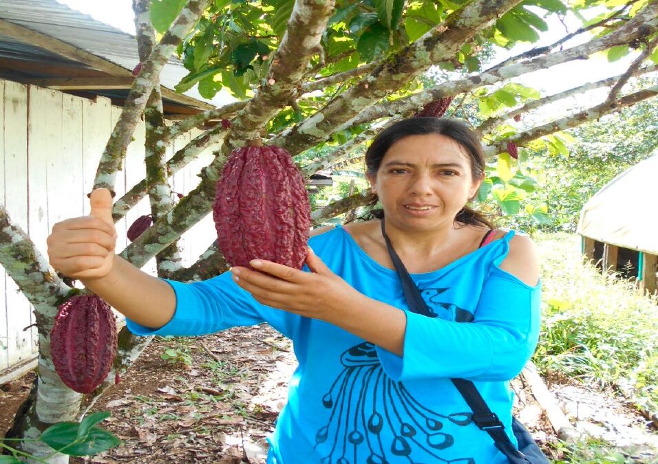 Cartilla BPA – Cacao