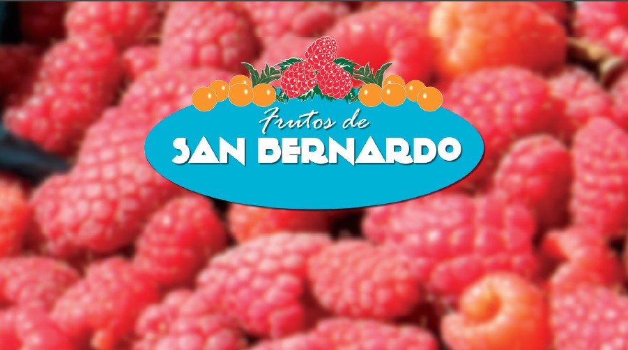 Cartilla BPA – Mora